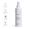 Averdant Aromatherapy Room & Linen Spray | Energetic - Eucalyptus & Mint